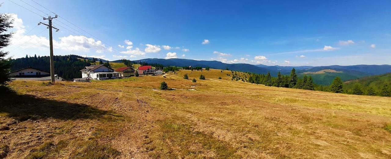 Pensiunea Karola Păltiniş Exterior foto